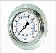 Brass Liquid Filled Gauges – Series 2